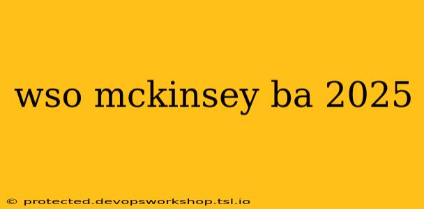 wso mckinsey ba 2025